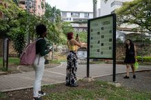 El murmullo del bosque se escucha en el corredor del r&iacute;o Cali