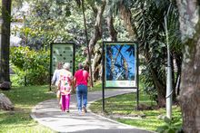 El murmullo del bosque se escucha en el corredor del r&iacute;o Cali