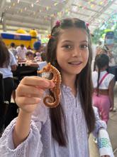 Ni&ntilde;os, adultos, y mascotas, a disfrutar de Ciudad Alegr&iacute;a