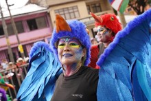 2000 artistas engalanaron el desfile del Carnaval de Cali Viejo 