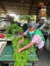 Hasta el 15 de febrero hay plazo para reportar el cumplimiento del Sistema de Gesti&oacute;n Integral de Residuos S&oacute;lidos