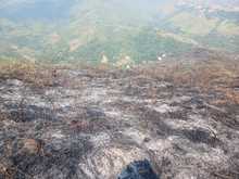 Dagma eval&uacute;a impacto ambiental del incendio forestal en Pilas del Cabuyal