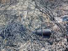 Dagma eval&uacute;a impacto ambiental del incendio forestal en Pilas del Cabuyal