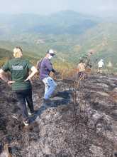 Dagma eval&uacute;a impacto ambiental del incendio forestal en Pilas del Cabuyal
