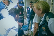 Ante posible aumento de casos de dengue en Cali, Salud P&uacute;blica hace llamado a tomar medidas contundentes para frenar brote