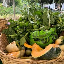 De la tierra a la mesa: los mercados campesinos son un canal de comercializaci&oacute;n comunitario en Cali