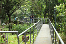 Santiago de Cali conmemora el mes de los humedales