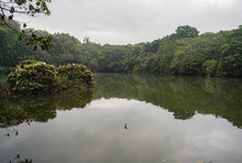 Santiago de Cali conmemora el mes de los humedales