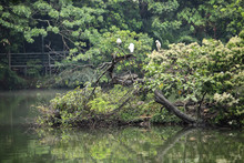 Santiago de Cali conmemora el mes de los humedales