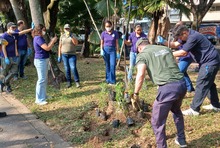 M&aacute;s cale&ntilde;os se suman a la campa&ntilde;a &lsquo;Volvamos a mi Cali Bella&rsquo;