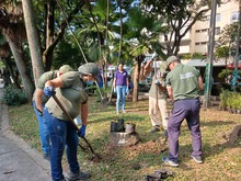 M&aacute;s cale&ntilde;os se suman a la campa&ntilde;a &lsquo;Volvamos a mi Cali Bella&rsquo;