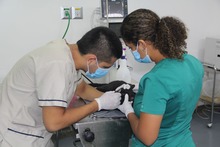 Centro de Bienestar Animal de Cali reactiva su servicio de consulta externa