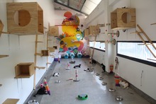 Centro de Bienestar Animal de Cali reactiva su servicio de consulta externa