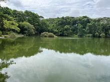 En el ecoparque Lago de las Garzas inici&oacute; la conmemoraci&oacute;n del &lsquo;mes de los humedales&rsquo;