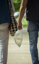 Contin&uacute;an las acciones para la prevenci&oacute;n del dengue en Cali