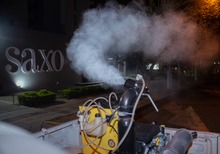 Eliminaci&oacute;n de criaderos, fumigaci&oacute;n y siembra de peces guppies, entre las acciones para hacer frente al brote de dengue