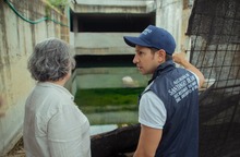Eliminaci&oacute;n de criaderos, fumigaci&oacute;n y siembra de peces guppies, entre las acciones para hacer frente al brote de dengue