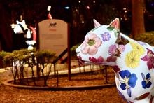 &iexcl;Cali, bella e iluminada! Alcald&iacute;a trabaja para embellecer los hitos ornamentales de la ciudad