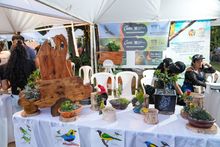 La Colombia BirdFair tom&oacute; vuelo tras la inauguraci&oacute;n de su d&eacute;cima versi&oacute;n