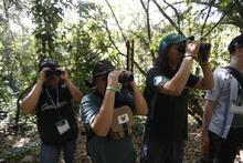 Cali referente en avistamiento de aves de Suram&eacute;rica