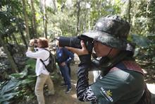 Cali referente en avistamiento de aves de Suram&eacute;rica