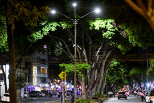 Alcald&iacute;a de Cali inicia recuperaci&oacute;n de alumbrado p&uacute;blico con primer tramo de 1,5 kil&oacute;metros en la calle 9