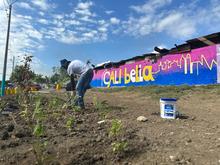 Alcald&iacute;a de Cali, Uaesp y ciudadan&iacute;a, recuperan un punto cr&iacute;tico en la comuna 11