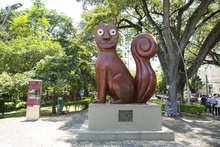 Cali, presente con su riqueza natural y tur&iacute;stica en  la Vitrina de Anato 2024