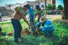 Significativo incremento de la participaci&oacute;n ciudadana se registr&oacute; en Cali durante el mes de febrero