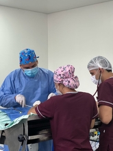 &ldquo;Hemos atendido m&aacute;s 1.200 animales este a&ntilde;o en el Centro de Bienestar Animal&rdquo;: Julio Oyola, director de la Unidad Administrativa  Especial de Protecci&oacute;n Animal