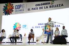 Cali camina hacia la COP16 para visibilizar la biodiversidad del Choc&oacute; biogeogr&aacute;fico al mundo