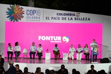 Cali camina hacia la COP16 para visibilizar la biodiversidad del Choc&oacute; biogeogr&aacute;fico al mundo