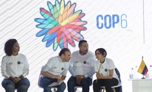 Cali camina hacia la COP16 para visibilizar la biodiversidad del Choc&oacute; biogeogr&aacute;fico al mundo