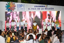 Cali camina hacia la COP16 para visibilizar la biodiversidad del Choc&oacute; biogeogr&aacute;fico al mundo