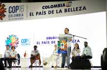 Cali camina hacia la COP16 para visibilizar la biodiversidad del Choc&oacute; biogeogr&aacute;fico al mundo