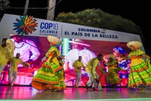 Cali camina hacia la COP16 para visibilizar el Chocó biogeográfico