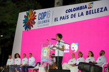 Cali camina hacia la COP16 para visibilizar el Chocó biogeográfico