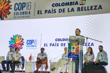 Cali camina hacia la COP16 para visibilizar el Chocó biogeográfico