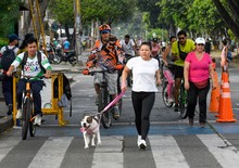 Cali volvi&oacute; a vibrar este domingo con el regreso de su Ciclovida