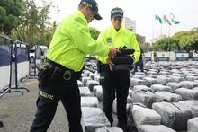 Autoridades incautan 5,6 toneladas de marihuana en el barrio Álamos siendo el cargamento más grande aprehendido en casi una década