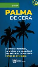 Acciones de amor y fe por el medio ambiente: en Semana Santa protejamos la palma de cera