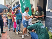 Cali es ejemplo en campa&ntilde;a nacional de protecci&oacute;n de la palma de cera