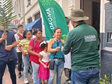 Cali es ejemplo en campa&ntilde;a nacional de protecci&oacute;n de la palma de cera