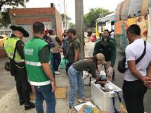 Cali es ejemplo en campa&ntilde;a nacional de protecci&oacute;n de la palma de cera