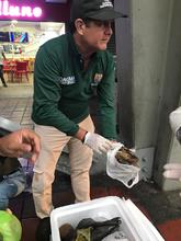 Cali es ejemplo en campa&ntilde;a nacional de protecci&oacute;n de la palma de cera