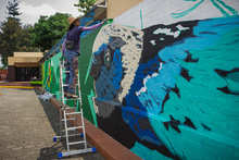  Se pintan esperanzas con el apoyo de empresarios locales: vamos &lsquo;Mi Cali Bella&rsquo; 