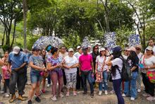 Cali deslumbra en Semana Santa con su biodiversidad &uacute;nica