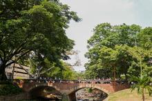 Cali deslumbra en Semana Santa con su biodiversidad &uacute;nica