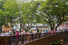 Cali deslumbra en Semana Santa con su biodiversidad &uacute;nica