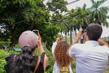 Cali deslumbra en Semana Santa con su biodiversidad &uacute;nica